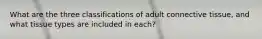 What are the three classifications of adult connective tissue, and what tissue types are included in each?