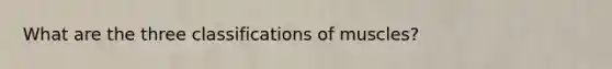 What are the three classifications of muscles?