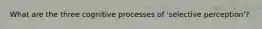What are the three cognitive processes of 'selective perception'?