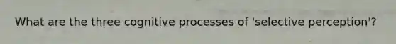 What are the three cognitive processes of 'selective perception'?