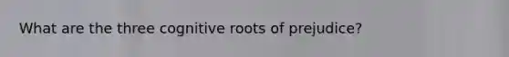 What are the three cognitive roots of prejudice?