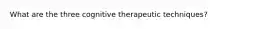 What are the three cognitive therapeutic techniques?