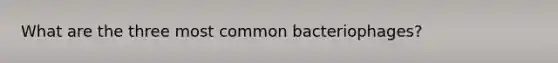 What are the three most common bacteriophages?