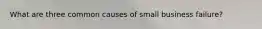 What are three common causes of small business failure?