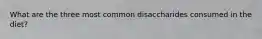 What are the three most common disaccharides consumed in the diet?