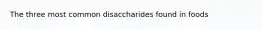 The three most common disaccharides found in foods