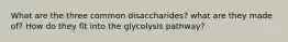 What are the three common disaccharides? what are they made of? How do they fit into the glycolysis pathway?