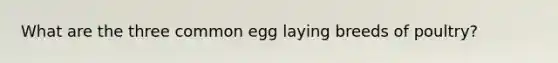 What are the three common egg laying breeds of poultry?