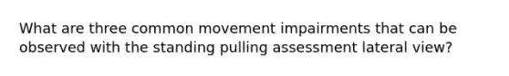 What are three common movement impairments that can be observed with the standing pulling assessment lateral view?