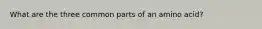 What are the three common parts of an amino acid?