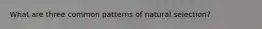 What are three common patterns of natural selection?