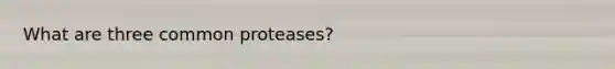 What are three common proteases?