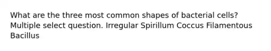 What are the three most common shapes of bacterial cells? Multiple select question. Irregular Spirillum Coccus Filamentous Bacillus