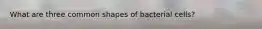 What are three common shapes of bacterial cells?