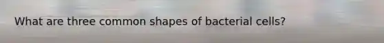 What are three common shapes of bacterial cells?