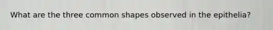 What are the three common shapes observed in the epithelia?