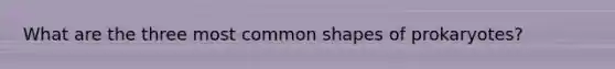 What are the three most common shapes of prokaryotes?