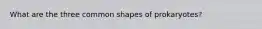 What are the three common shapes of prokaryotes?