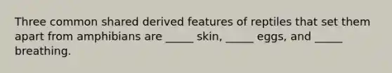 Three common shared derived features of reptiles that set them apart from amphibians are _____ skin, _____ eggs, and _____ breathing.