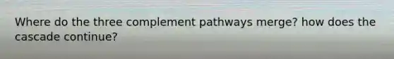 Where do the three complement pathways merge? how does the cascade continue?