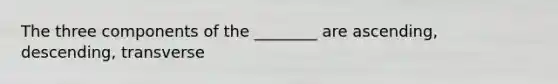 The three components of the ________ are ascending, descending, transverse