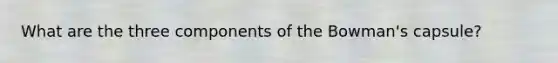 What are the three components of the Bowman's capsule?