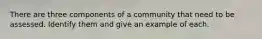 There are three components of a community that need to be assessed. Identify them and give an example of each.