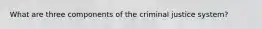 What are three components of the criminal justice system?