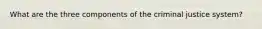 What are the three components of the criminal justice system?