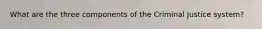 What are the three components of the Criminal Justice system?