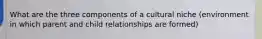 What are the three components of a cultural niche (environment in which parent and child relationships are formed)