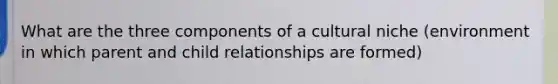 What are the three components of a cultural niche (environment in which parent and child relationships are formed)