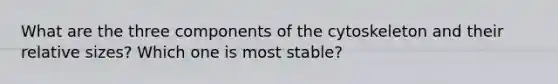 What are the three components of the cytoskeleton and their relative sizes? Which one is most stable?