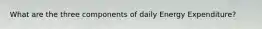 What are the three components of daily Energy Expenditure?