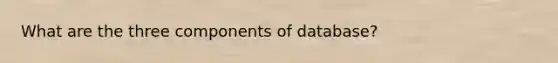 What are the three components of database?