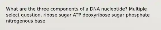 What are the three components of a DNA nucleotide? Multiple select question. ribose sugar ATP deoxyribose sugar phosphate nitrogenous base