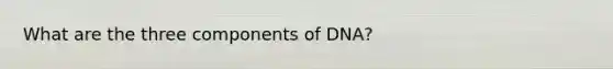 What are the three components of DNA?