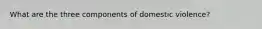 What are the three components of domestic violence?