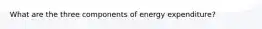 What are the three components of energy expenditure?