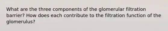 What are the three components of the glomerular filtration barrier? How does each contribute to the filtration function of the glomerulus?