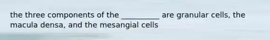 the three components of the __________ are granular cells, the macula densa, and the mesangial cells