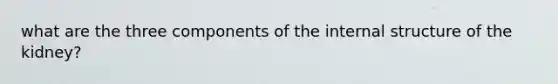 what are the three components of the internal structure of the kidney?