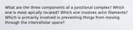 What are the three components of a junctional complex? Which one is most apically located? Which one involves actin filaments? Which is primarily involved in preventing things from moving through the intercellular space?