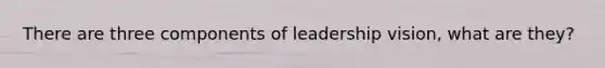 There are three components of leadership vision, what are they?