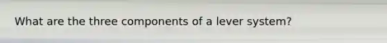 What are the three components of a lever system?