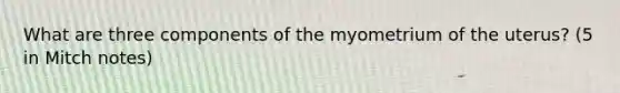 What are three components of the myometrium of the uterus? (5 in Mitch notes)