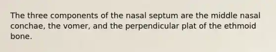 The three components of the nasal septum are the middle nasal conchae, the vomer, and the perpendicular plat of the ethmoid bone.