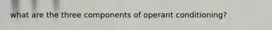 what are the three components of operant conditioning?