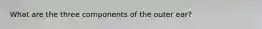 What are the three components of the outer ear?