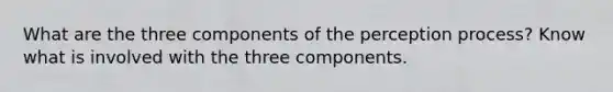 What are the three components of the perception process? Know what is involved with the three components.